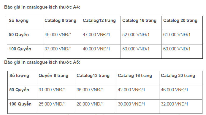 bao-gia-in-catalogue